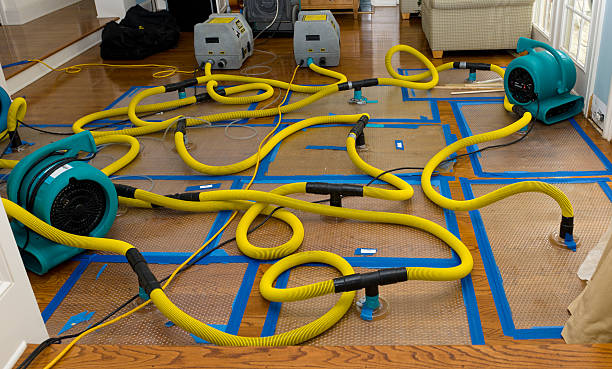 Professional Flood Damage Restoration technician working in Plymouth, PA